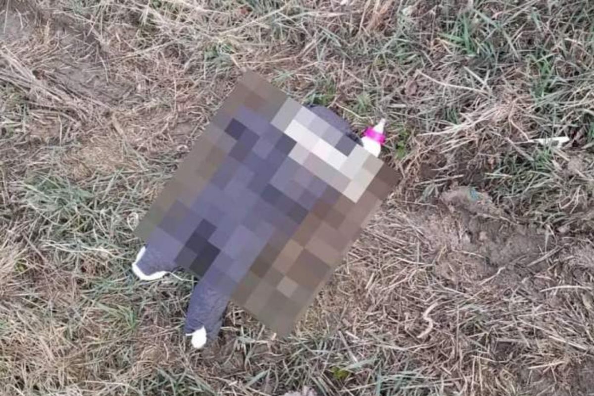 Bebeluș, abandonat pe un câmp în România, de o mama de 22 de ani. Angajații unei primării l-au găsit în viață: ”Femeia a spus că…”