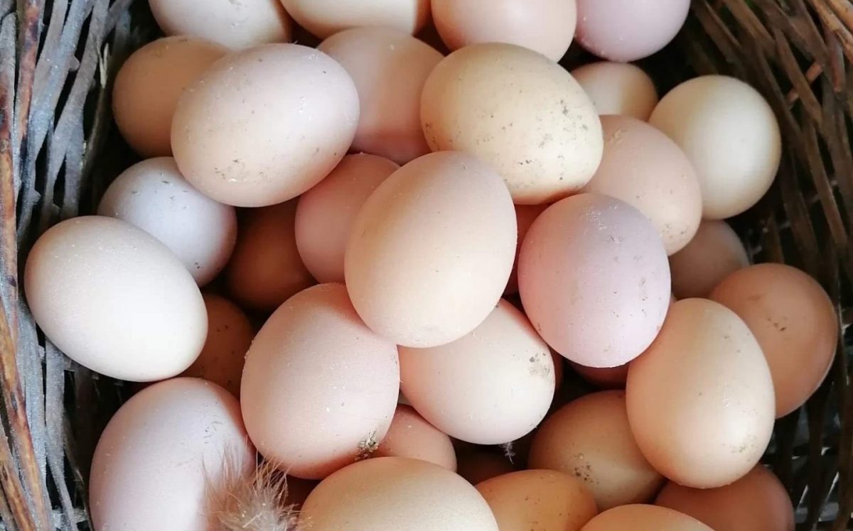 Cât a ajuns să coste un ou de ţară | Este mai scump decât un kilogram de mere