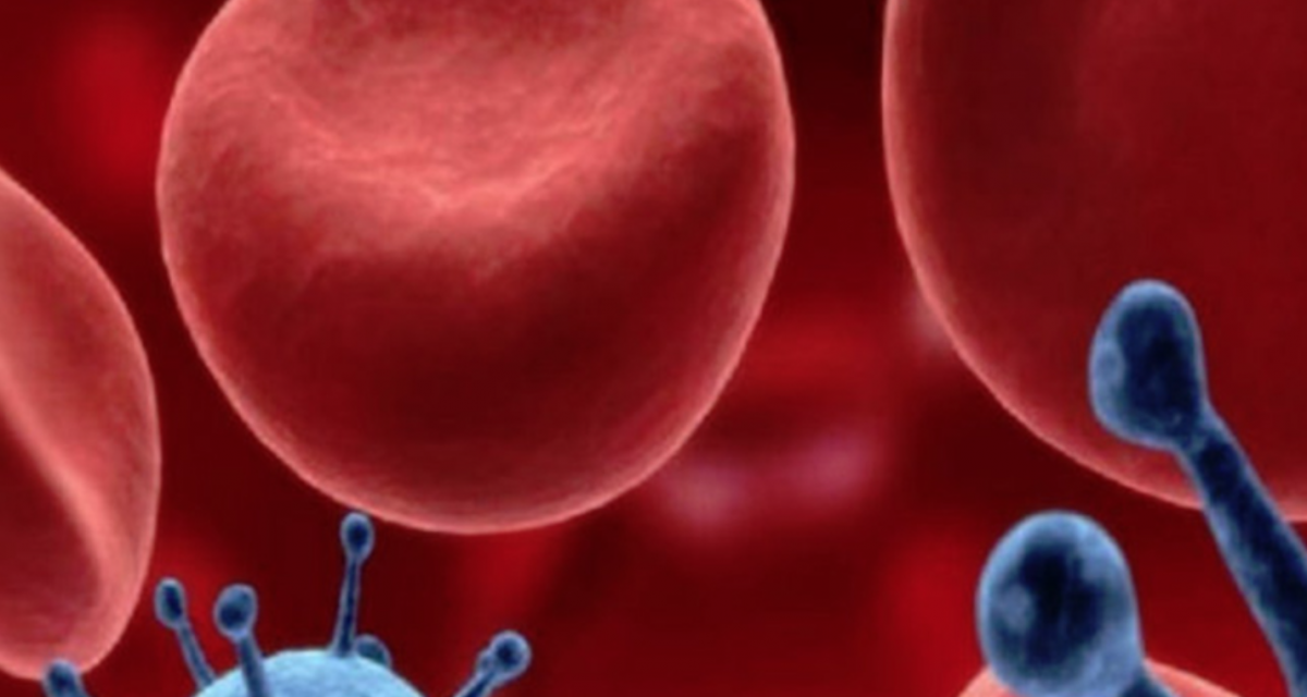 Analiza de sânge care poate depista cancerul și va înlocui biopsia. Inovație revoluționară americană