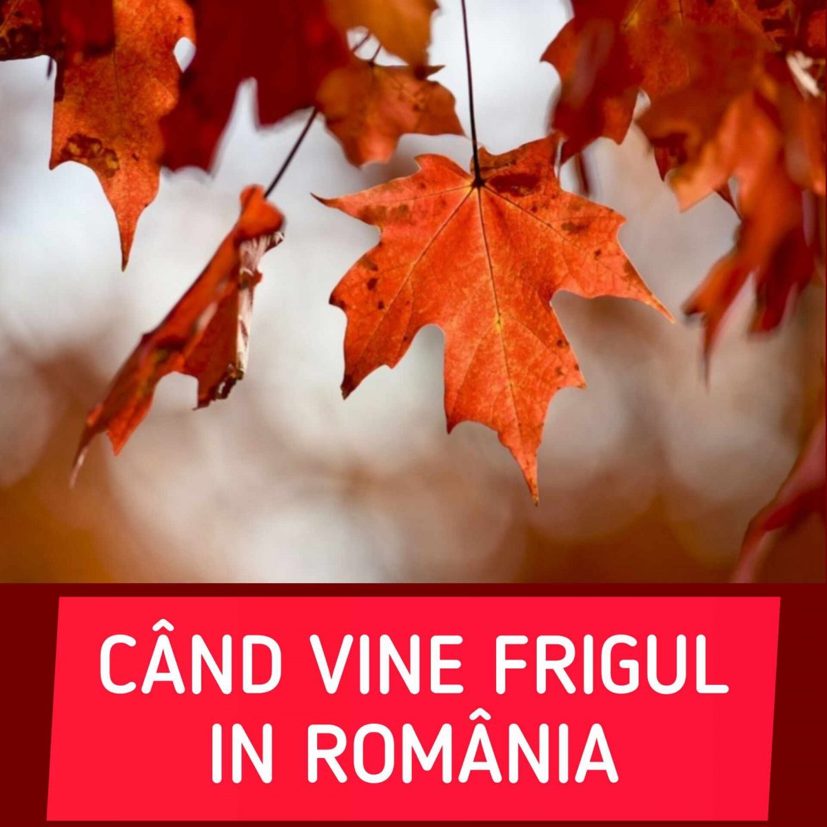 Când vine toamna în România? Începând cu această dată, temperaturile scad extrem de mult. Vom avea 16 grade noaptea