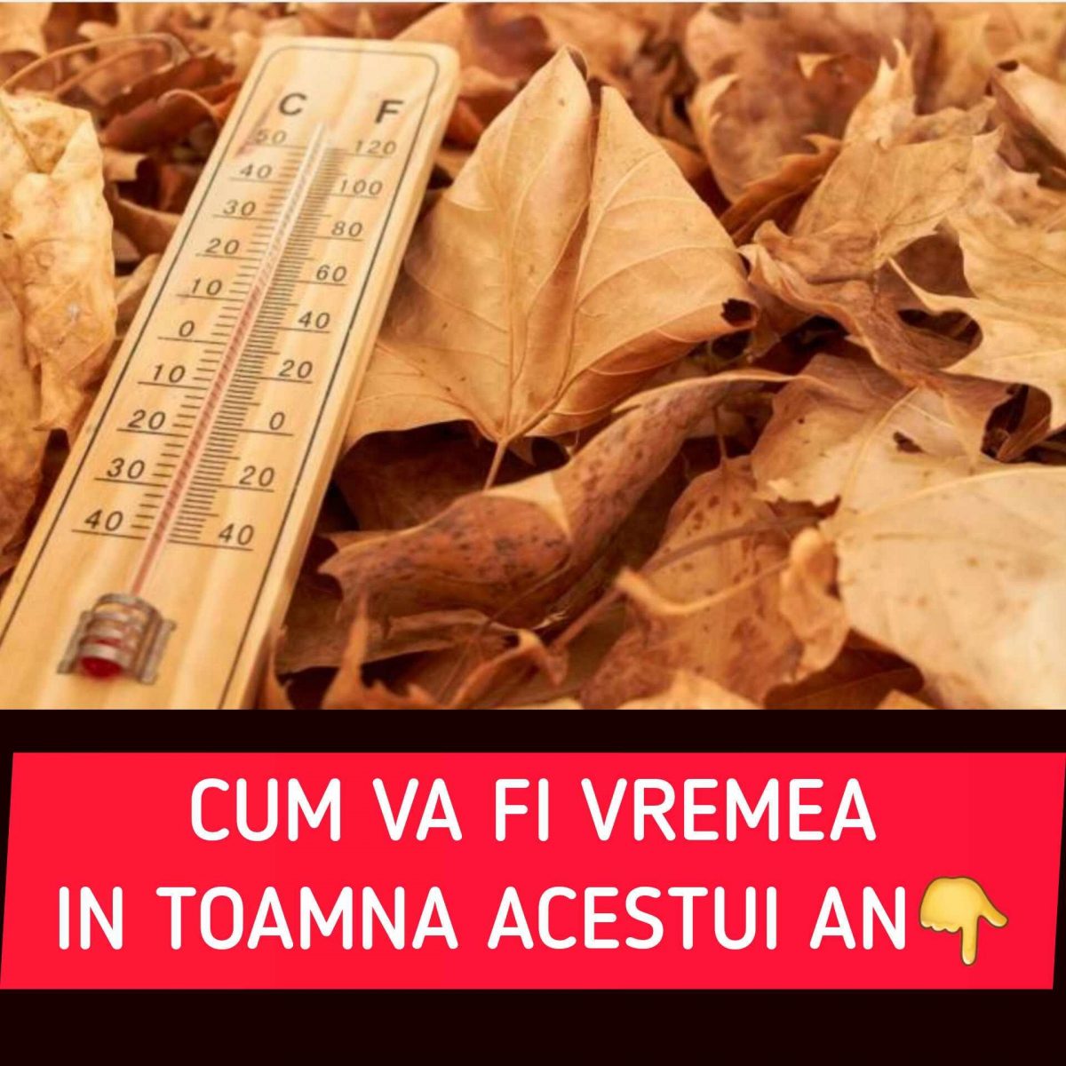 Anunț ANM! Cum va fi vremea în toamna din acest an. Luna septembrie începe cu temperaturi mari