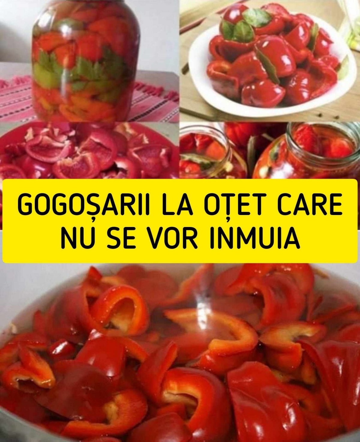 Gogoșari în oțet – rețeta delicioasă de conservă casnică