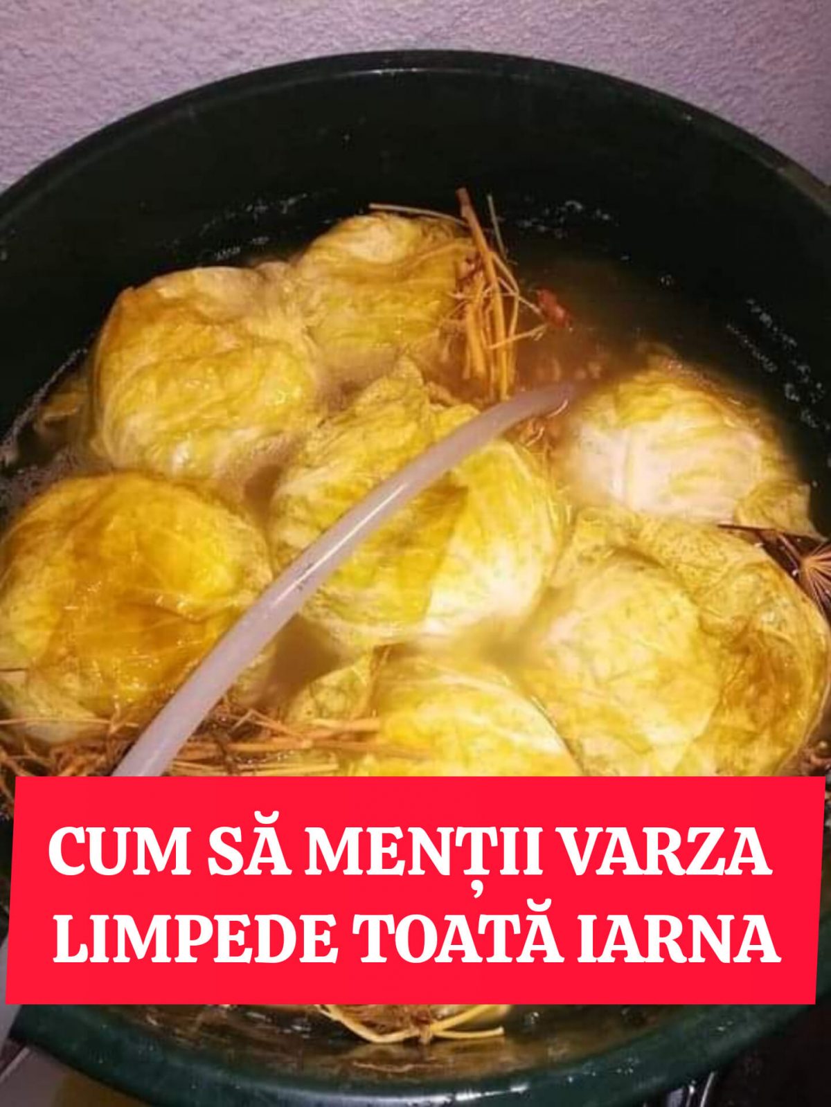 Varză Murată – Când se pune? Ce punem în ea să țină până toamna viitoare? Secretul pe care puţină lume îl ştie!