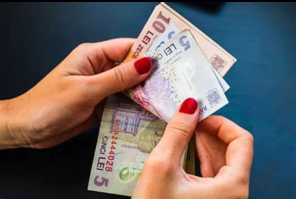 Noi vouchere în anul 2024! Cum vei putea primi bani dacă desfășori activități casnice
