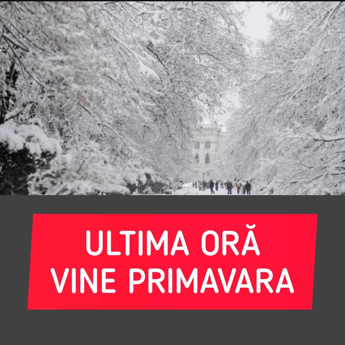 Prognoza pe două săptămâni: Vine, vine, primăvara. Zăpada va rămâne doar la munte