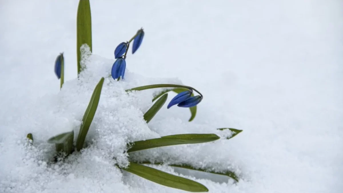 Vremea se schimbă în România, după zile întregi cu temperaturi de primăvară