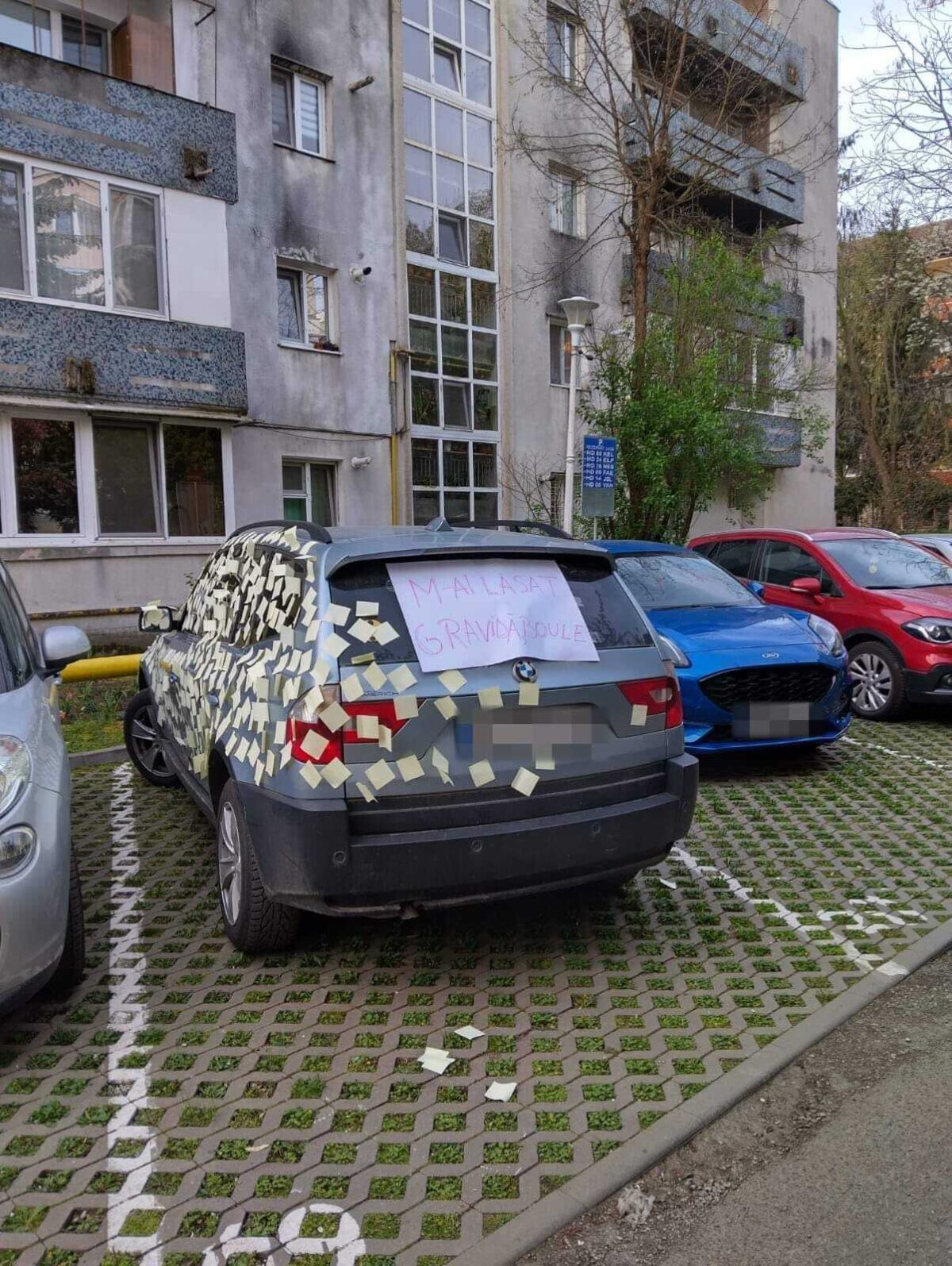Modul inedit în care o femeie și-a anunțat partenerul că a rămas însărcinată! Toți au rămas fără cuvinte