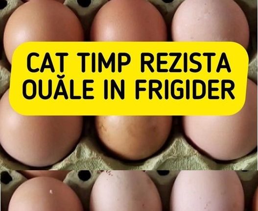 În bucătăria fiecărei gospodine, ouăle sunt adevăratele vedete. Dar cât timp rezistă, mai exact, un ou de țară în frigider? Aceasta este o întrebare pe care multe femei și-o pun, deoarece preferă să achiziționeze ouă de țară, crescute în curte, deoarece gustul și calitatea lor sunt diferite față de cele din comerț