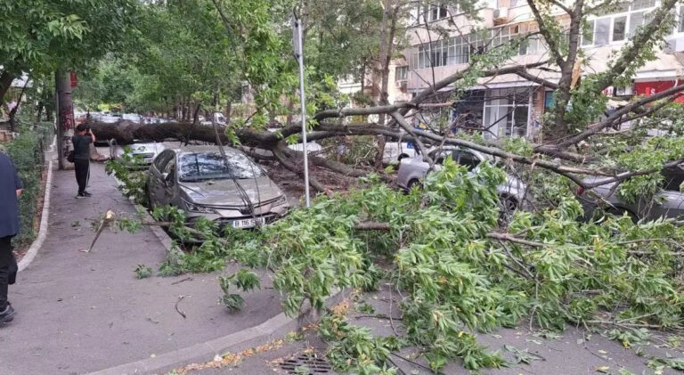 Bucurestiul, sub Cod Rosu de vijelii: O femeie s-a stins in Otopeni. Temperatura a scazut cu 12 grade