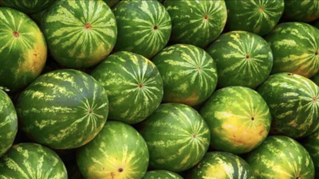 Cum alegi pepenele verde să fie perfect copt. Ce înseamnă, de fapt, pata galbenă de pe fruct