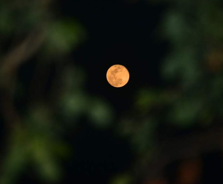 Luna Nouă în Leu, 25 iulie 2025: Momentul perfect să strălucești! Află cum îți influențează zodia