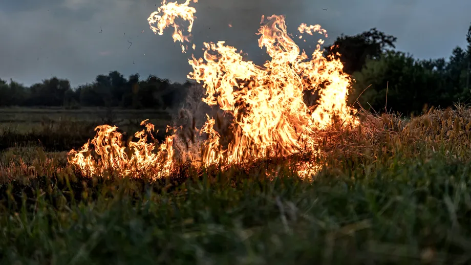 Român mort în incendiul masiv de vegetație din Spania. Lucra la ferma de cai mistuită de flăcări