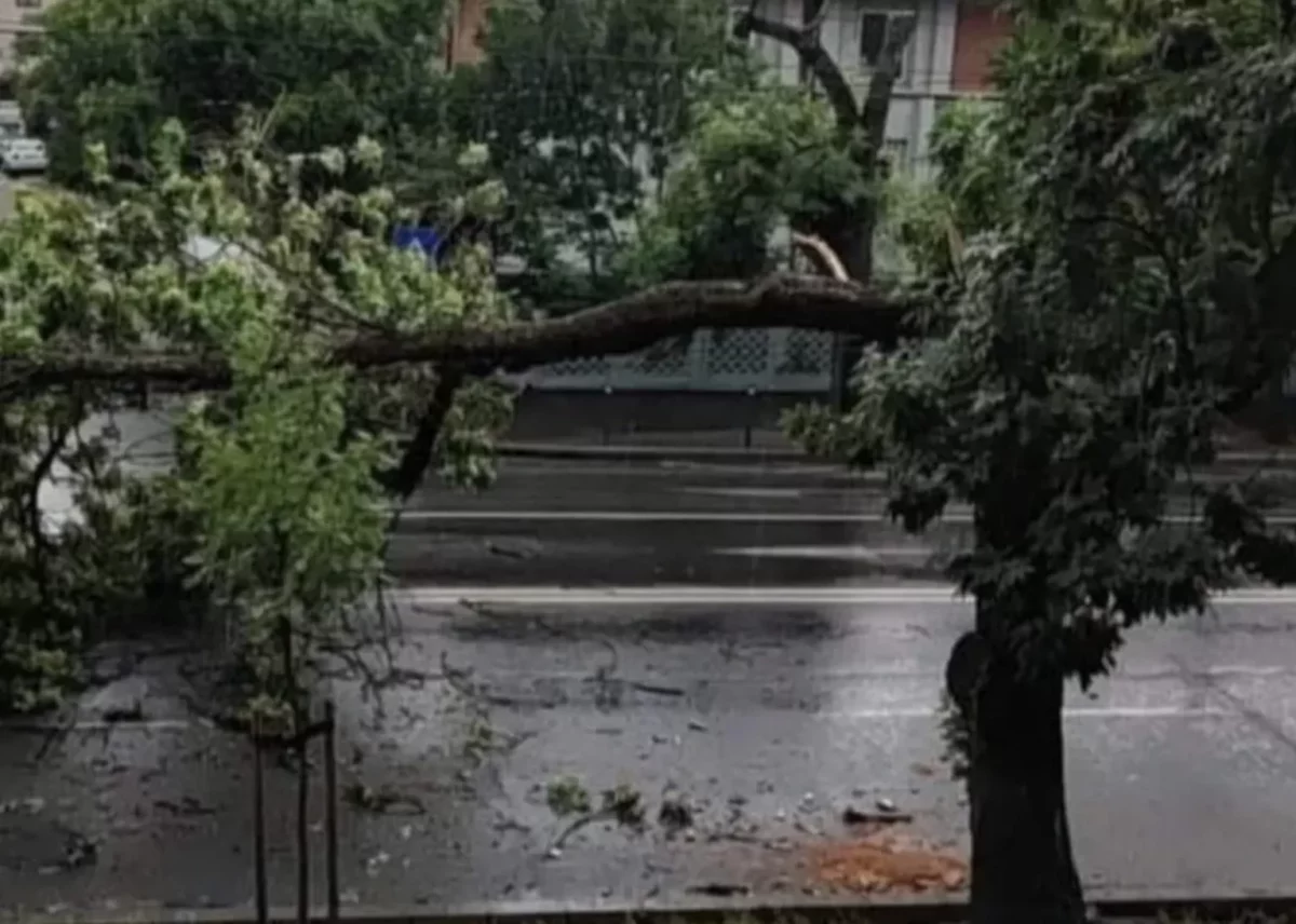 ANM a emis cod galben de vijelii, furtună cu putere de uragan. S-au emis deja 645 de alerte în 2025!