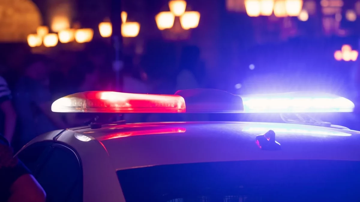 Ferească Dumnezeu. Dublă crimă în România. Un bărbat și-a ucis mătușa și unchiul, iar ce a făcut apoi e halucinant. Poliția în alertă maximă