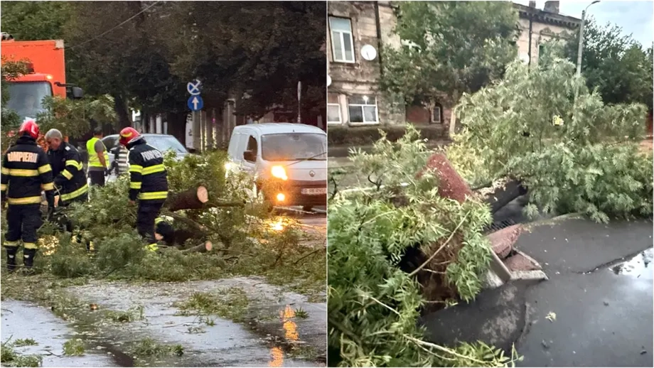 Vijeliile au făcut prăpăd în România: copaci căzuți și acoperișuri smulse de vânt. Patru răniți, un tânăr de 18 ani a murit. Update