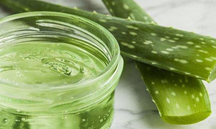 Aloe vera, planta care nu ar trebui sa iti lipseasca din casa