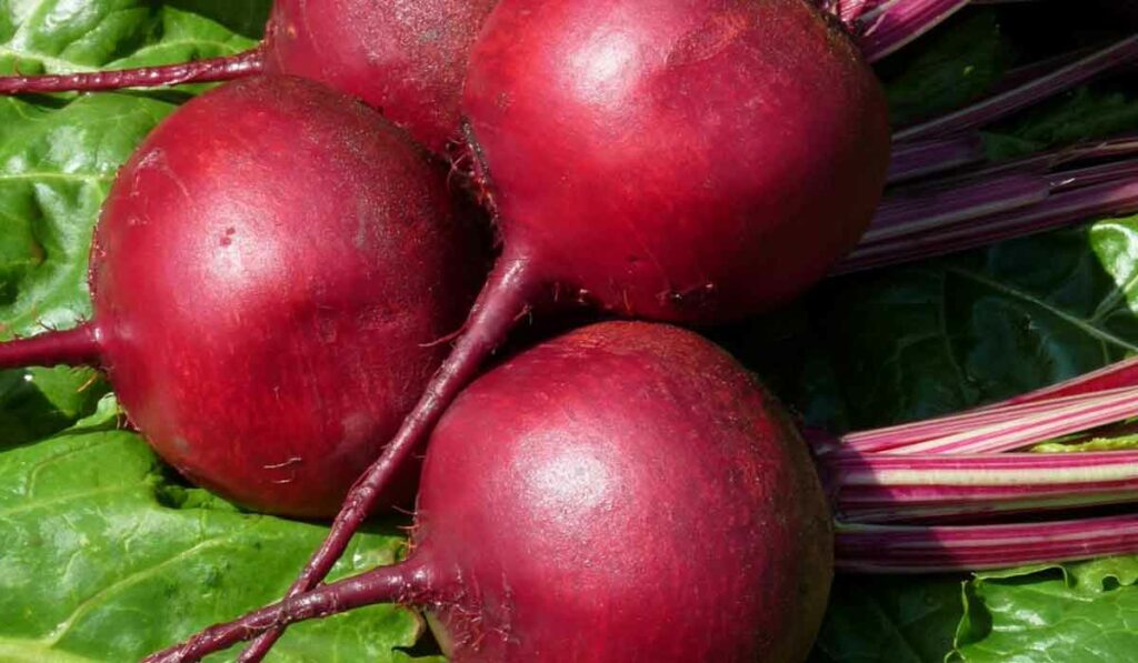 Sfecla rosie, alimentul cu efecte puternice asupra organismului. Cum se consuma corect