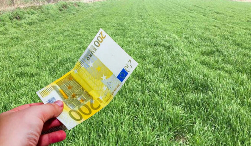 Veste buna pentru agricultori! Subventie APIA de 200 de euro pe hectar. Cine poate beneficia