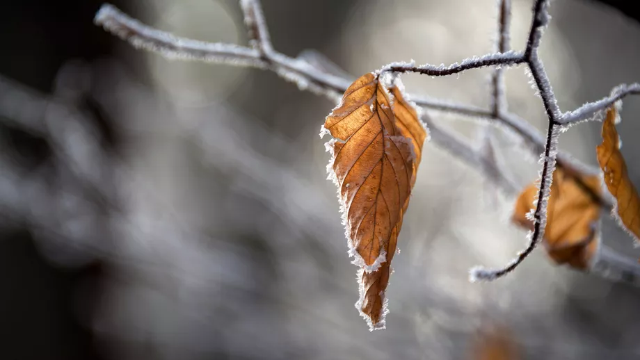 ANM a emis prognoza meteo pentru perioada 29 septembrie – 12 octombrie, pe regiuni. Când se va mai încălzi