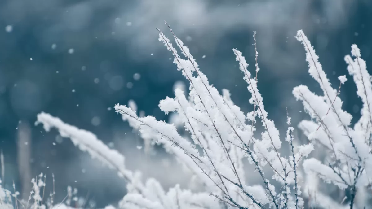 Cum va fi vremea de Crăciun și Revelion. Anunțul meteorologilor