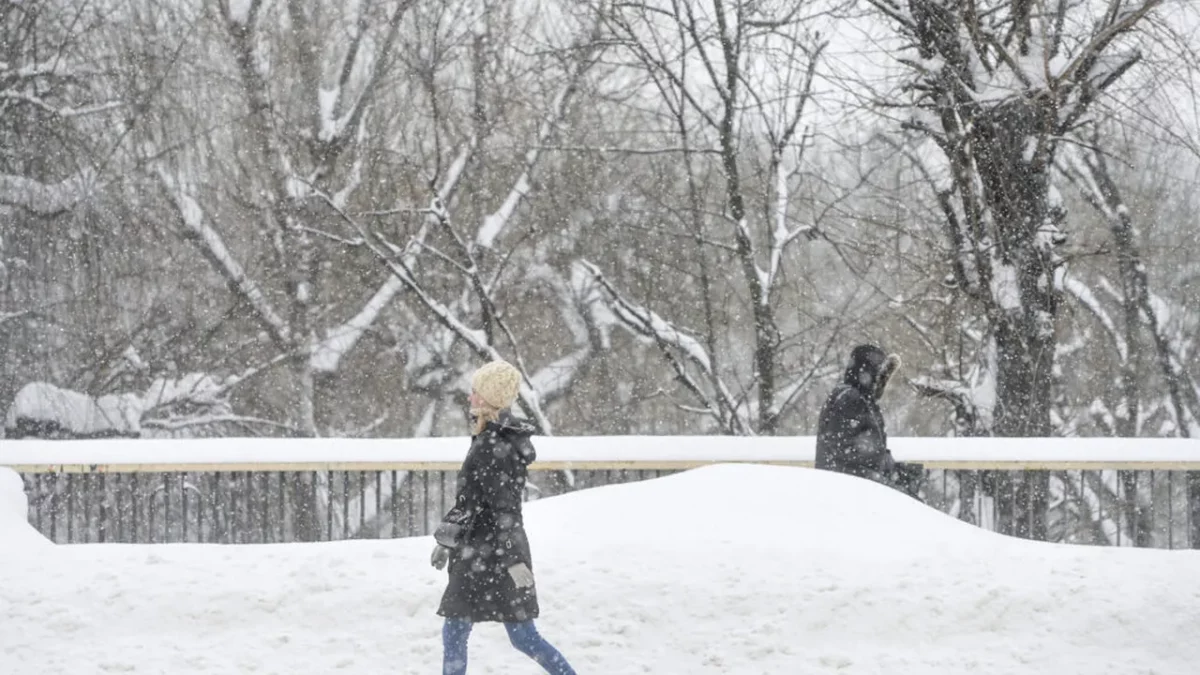 Vortexul Polar pe punctul de a se prăbuși în februarie. Europa poate primi un val de frig consistent. Iată fereastra „periculoasă”