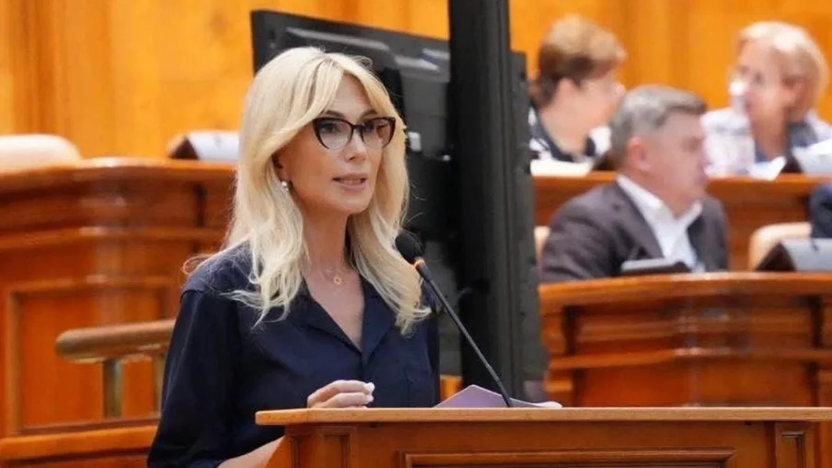 PNL dă lovitura pentru CCR! Proiectul care îngenunchează Curtea