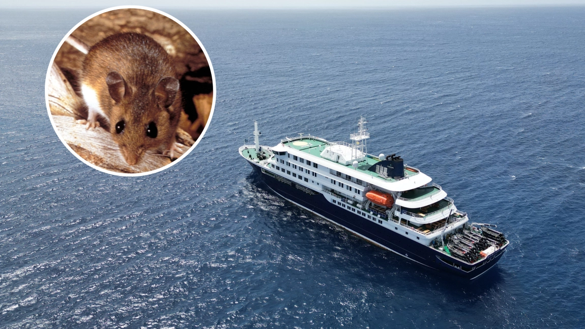 Focarul de hantavirus de pe nava MV Hondius se extinde în Europa și SUA. Primele cazuri confirmate după debarcare.