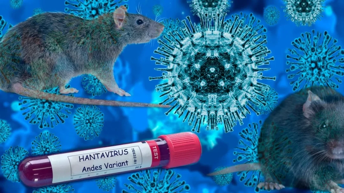 Șeful OMS vine cu vești liniștitoare: fără decese noi în epidemia de hantavirus