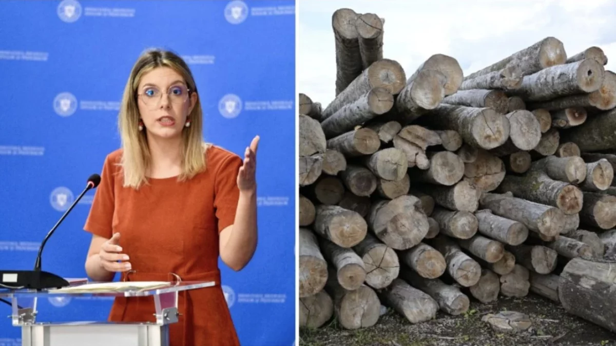 Anunț de ultimă oră! Diana Buzoianu anunțul care schimbă tot