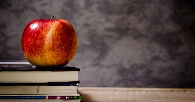 Schimbări pentru elevi în anul școlar 2026-2027. Care este structura și ce materii noi apar