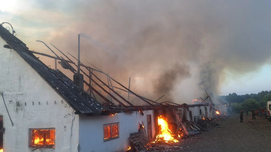 Incendiu devastator la o fermă avicolă din Suceava. O mie de găini și mai multe animale au murit, iar o hală a fost distrusă de flăcări