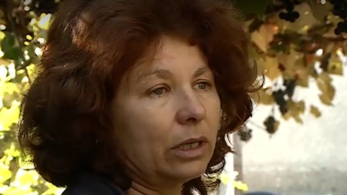 Ce i-a spus Vlăduț Băltățeanu mamei sale înainte să dispară. Femeia: „Foarte liniștit, foarte calm”